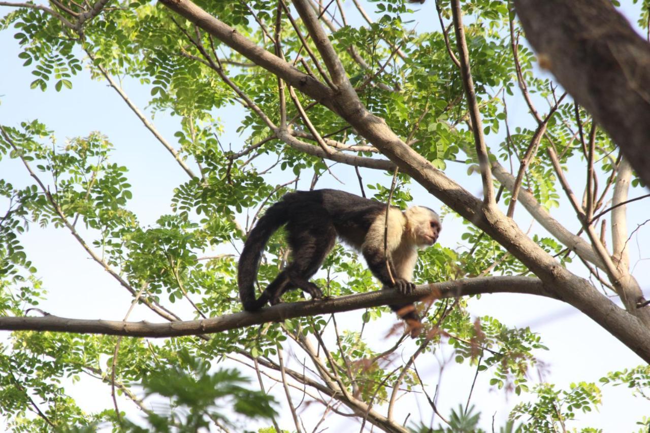 San Simian Lodge La Laguna Eksteriør bilde